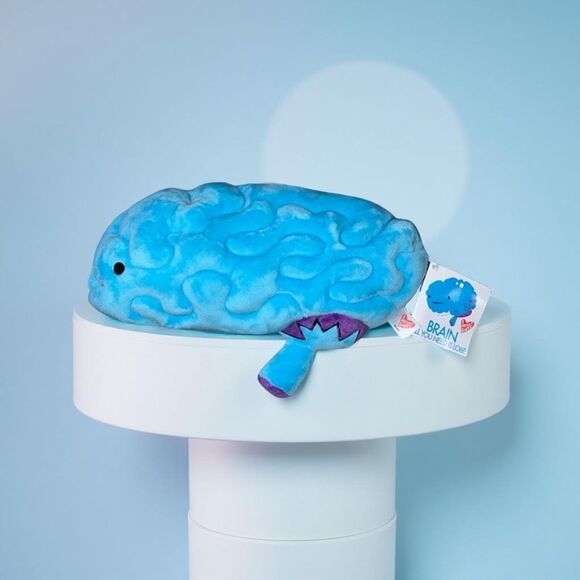 NWT I Heart Guts Brain All You Need Is Lobe Stuffed Plush Anatomy Toy STEM 11” - Picture 1 of 7